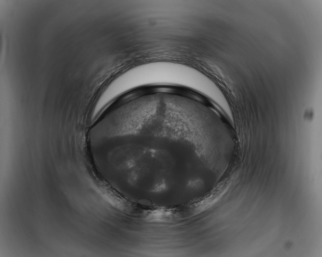 X0000100340366200806121156