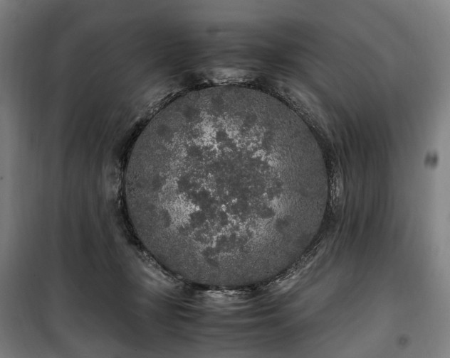 X0000100340367200806121156