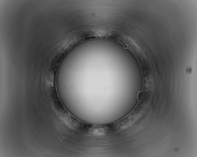 X0000100340368200806121156