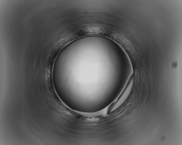 X0000100340369200806121156