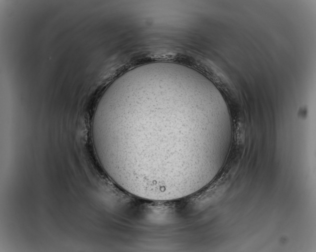 X0000100340370200806121156