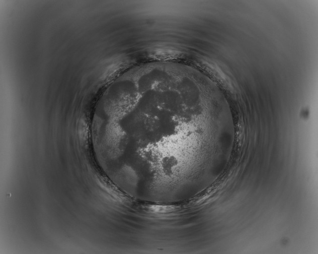 X0000100340371200806121156