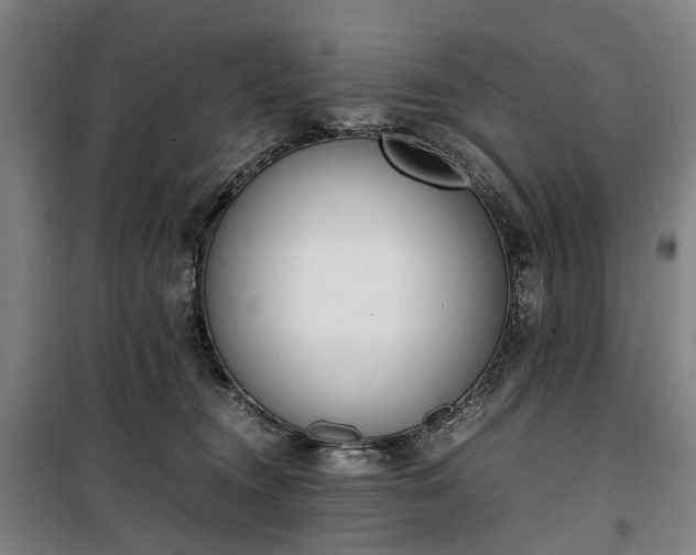 X0000100340372200806121156