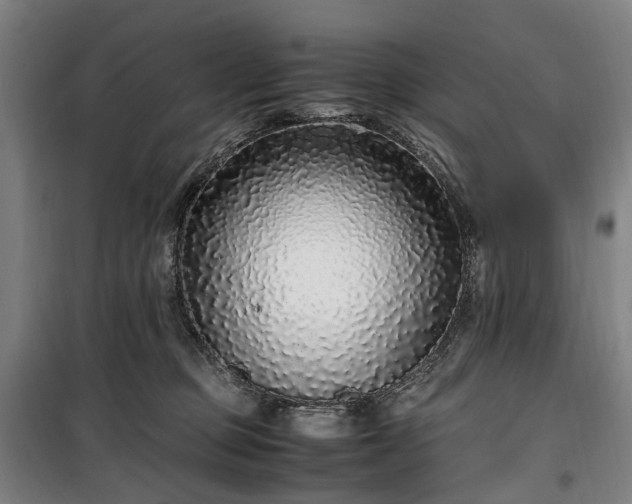 X0000100340373200806121156