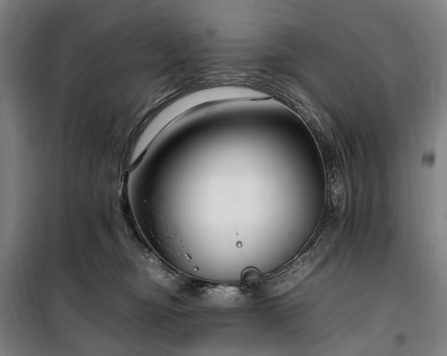 X0000100340374200806121156