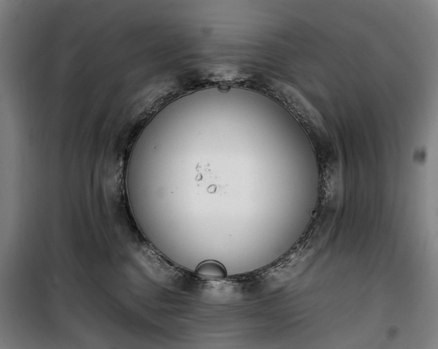 X0000100340376200806121156