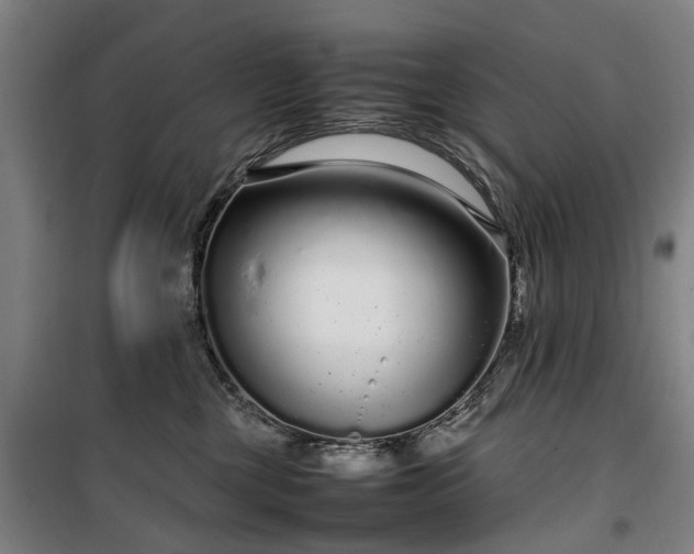 X0000100340377200806121156