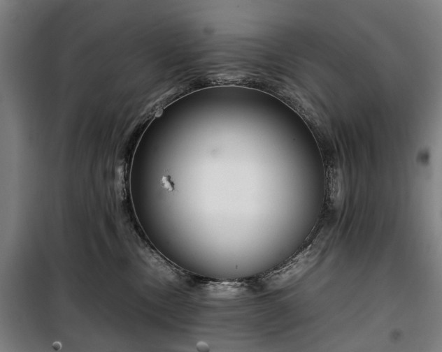 X0000100340378200806121156