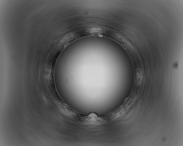 X0000100340379200806121156