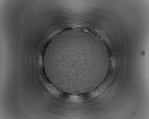 X0000100340380200806121156