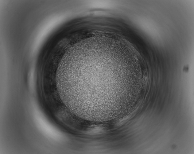 X0000100340381200806121156