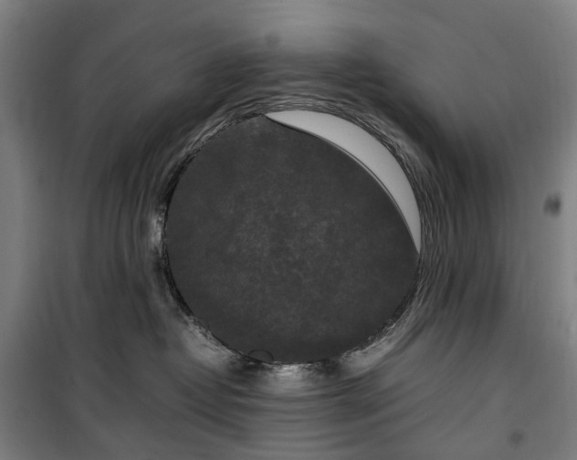 X0000100340382200806121156