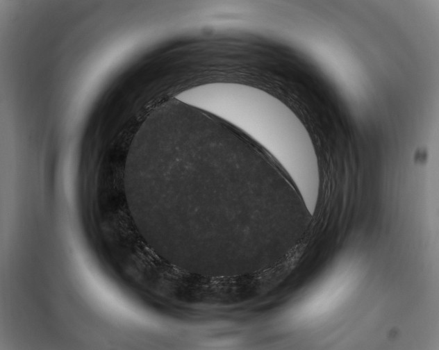 X0000100340383200806121157