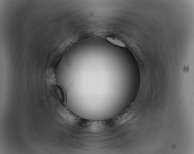 X0000100340384200806121157