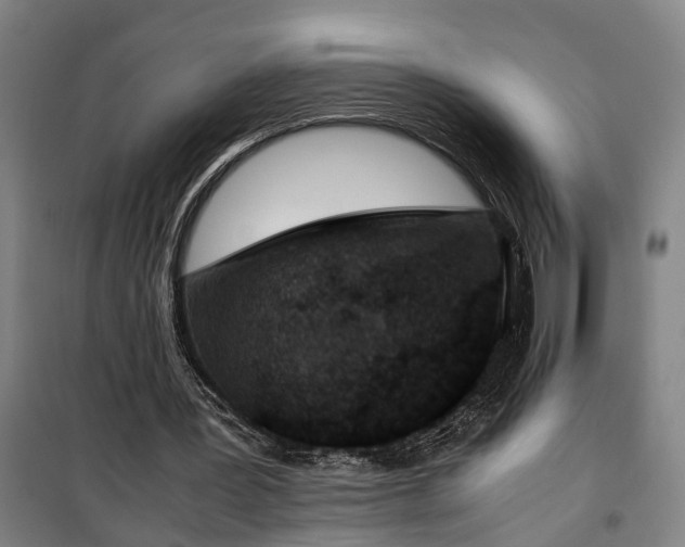 X0000100340387200806121156