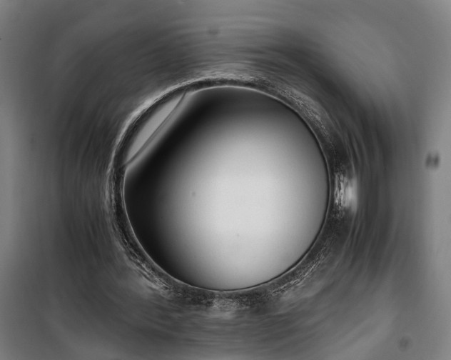 X0000100340388200806121156