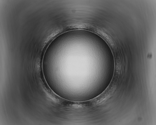 X0000100340394200806121156