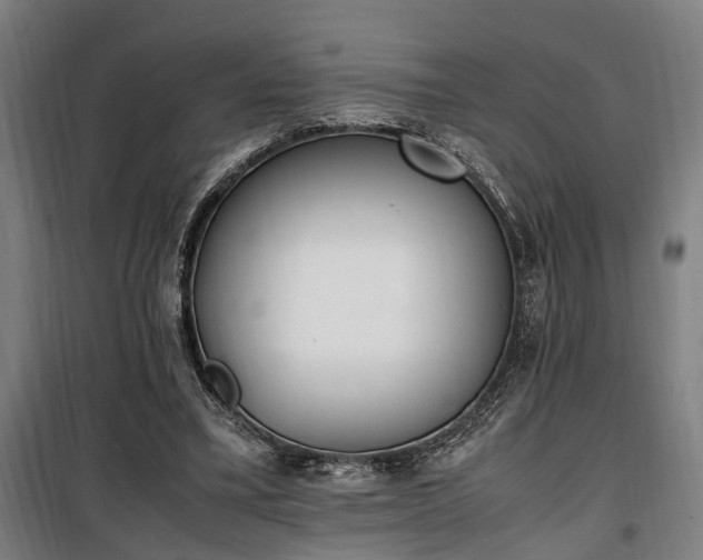 X0000100340395200806121156