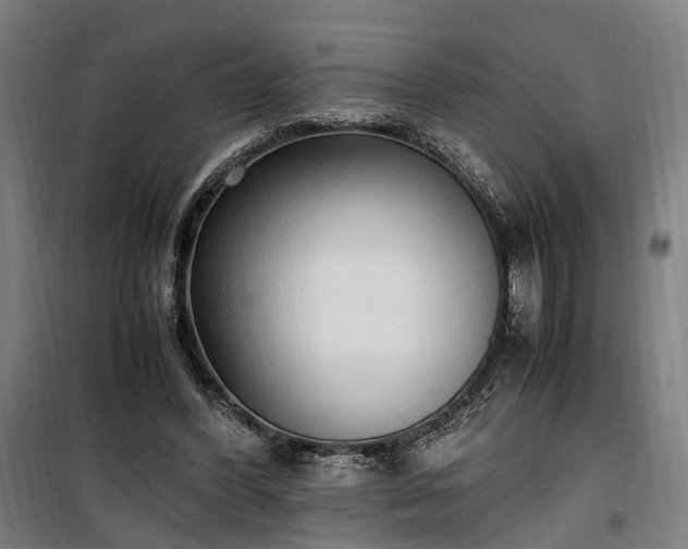 X0000100340396200806121156