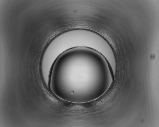 X0000100340397200806121156