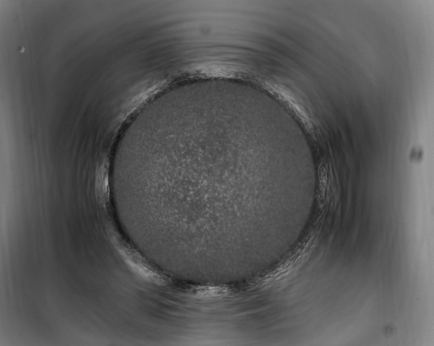 X0000100340398200806121156