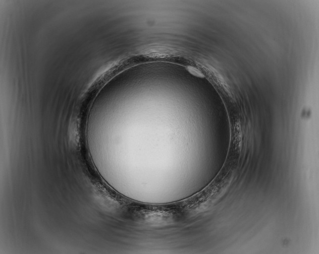 X0000100340400200806121155