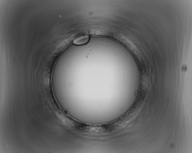 X0000100340401200806121155