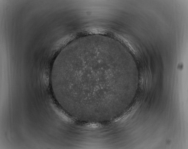 X0000100340402200806121155