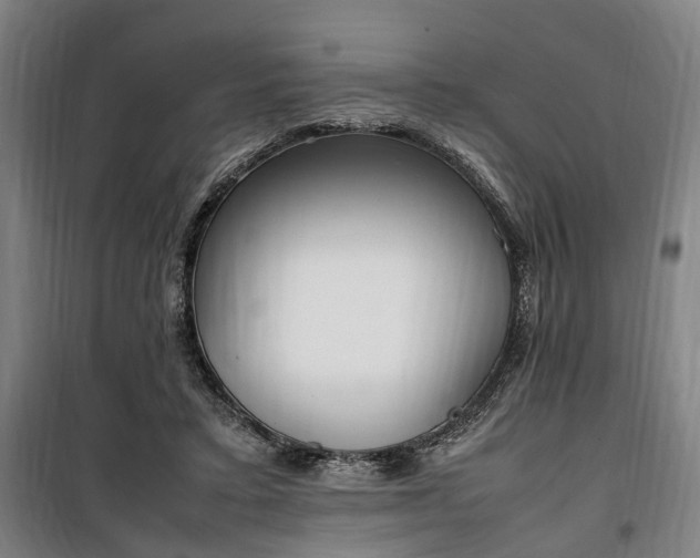 X0000100340403200806121155