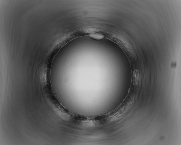 X0000100340404200806121155