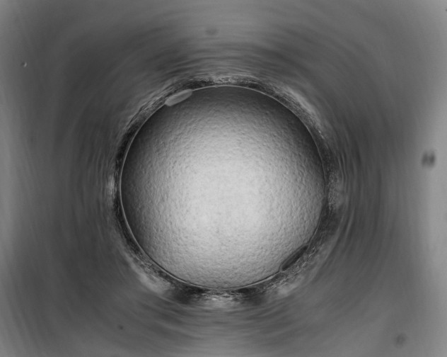 X0000100340405200806121155