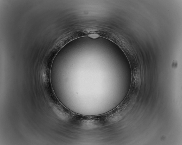 X0000100340408200806121155