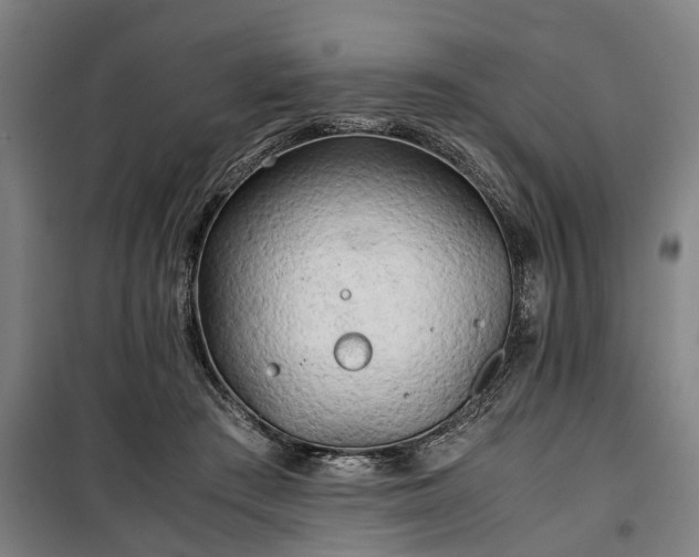 X0000100340409200806121155