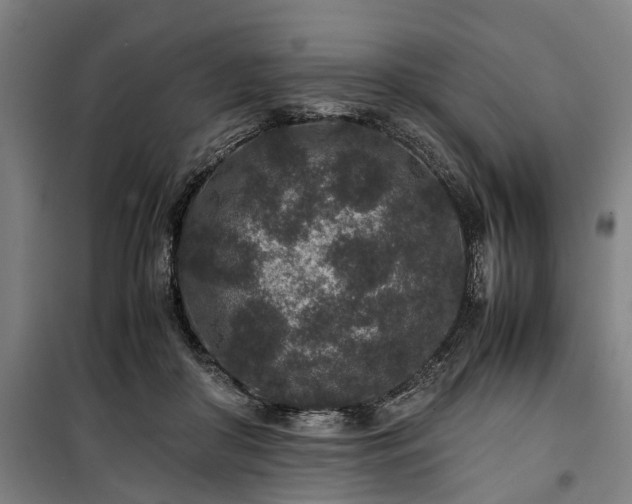 X0000100340410200806121155