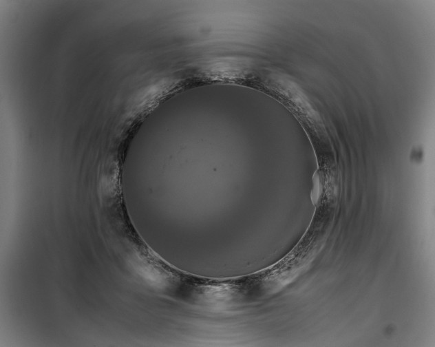 X0000100340411200806121155