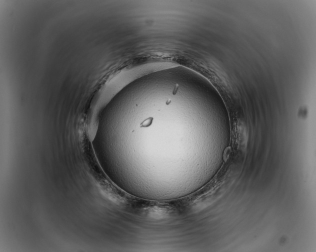 X0000100340412200806121155