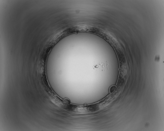 X0000100340413200806121155