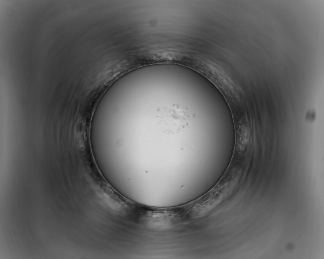 X0000100340414200806121155