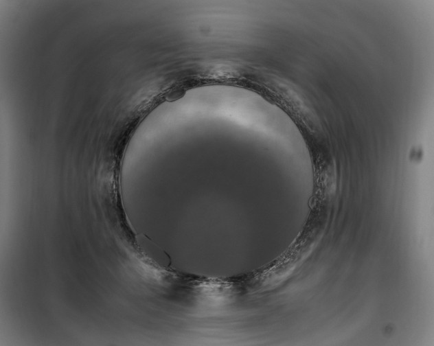 X0000100340415200806121155