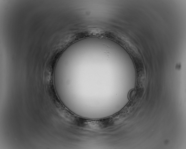 X0000100340417200806121155