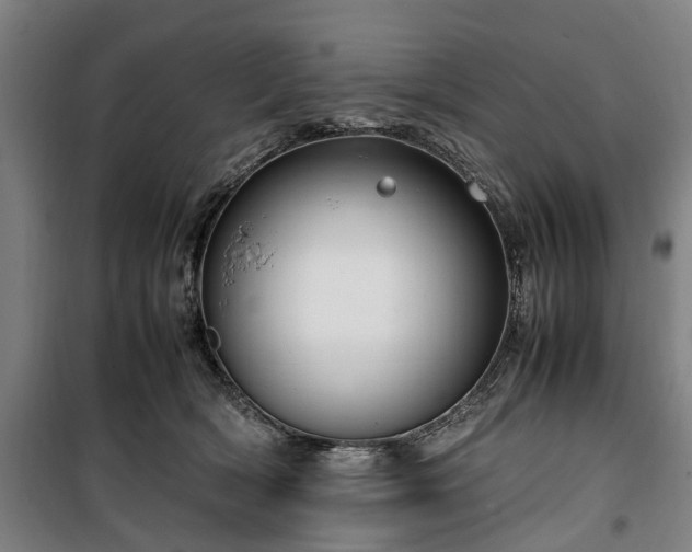 X0000100340418200806121155