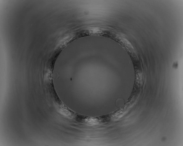 X0000100340419200806121155