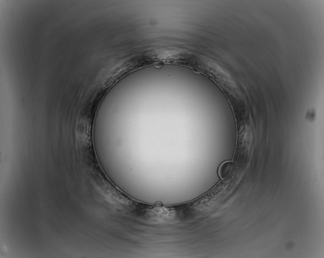 X0000100340421200806121155