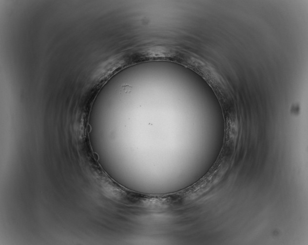 X0000100340422200806121155