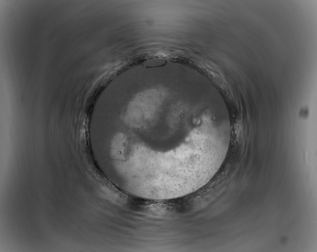 X0000100340423200806121155