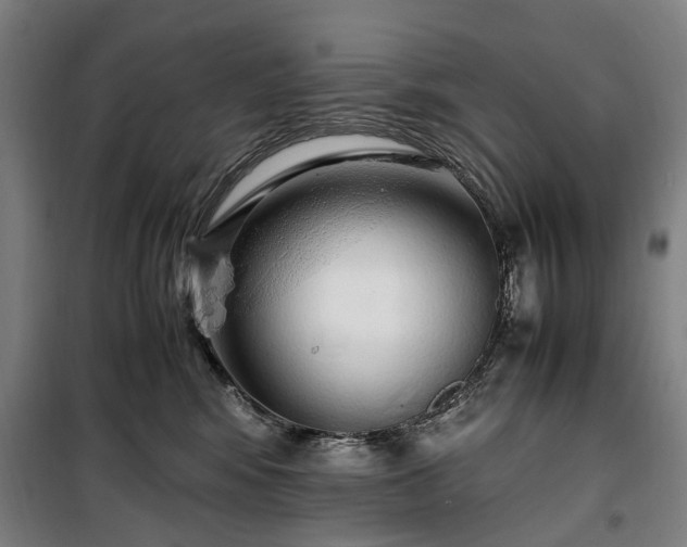 X0000100340424200806121155