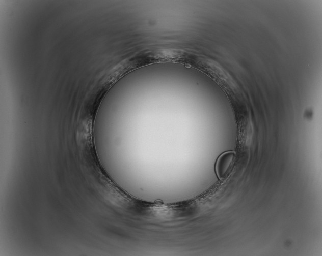 X0000100340425200806121155