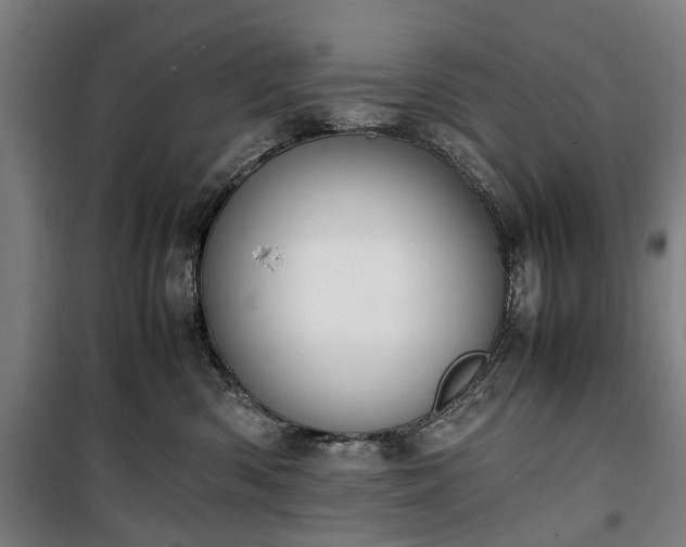 X0000100340426200806121155