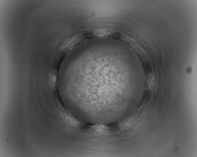 X0000100340427200806121155