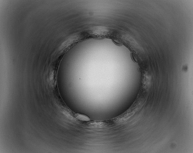 X0000100340428200806121155